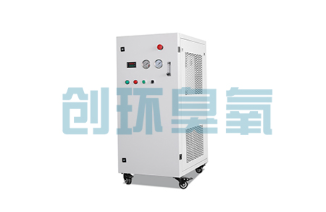 南川比传统换水更高效?臭氧发生器在石斑鱼养殖中的水质净化原理解析