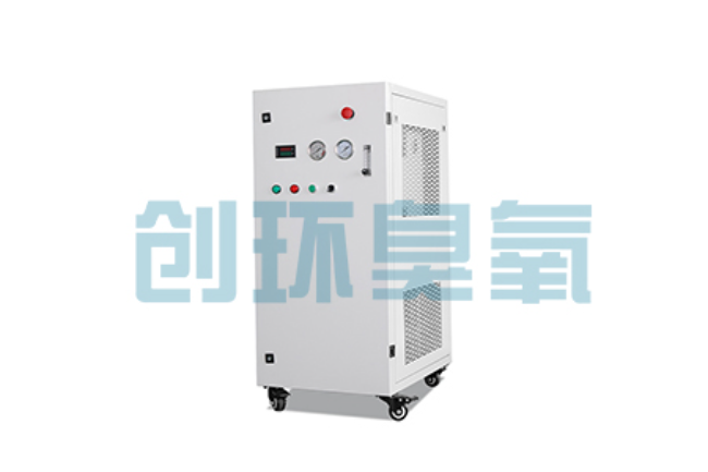 南川比传统换水更高效?臭氧发生器在石斑鱼养殖中的水质净化原理解析